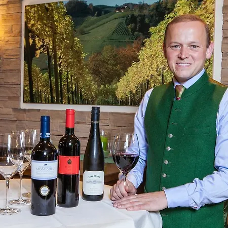 Engelhof Πανσιόν Gmunden